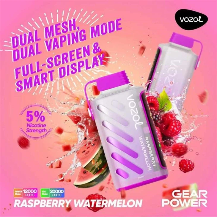 VOZOL GEAR POWER 20000