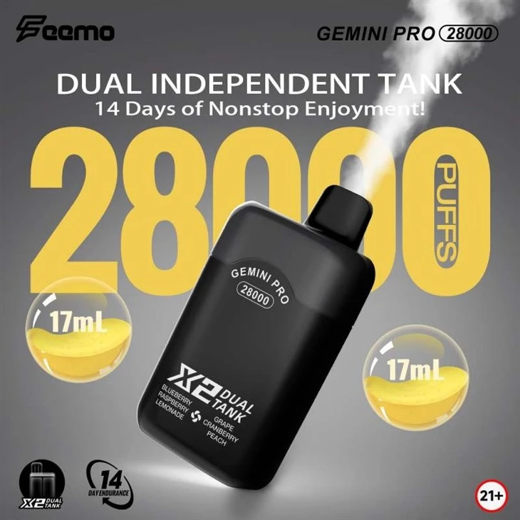 Feemo GEMINI PRO 28000 1