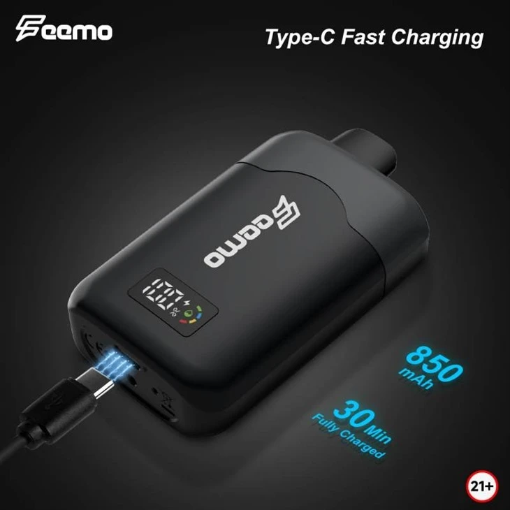 Feemo GEMINI PRO 28000 7