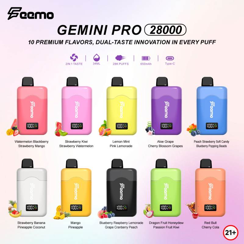 Feemo GEMINI PRO 28000 10