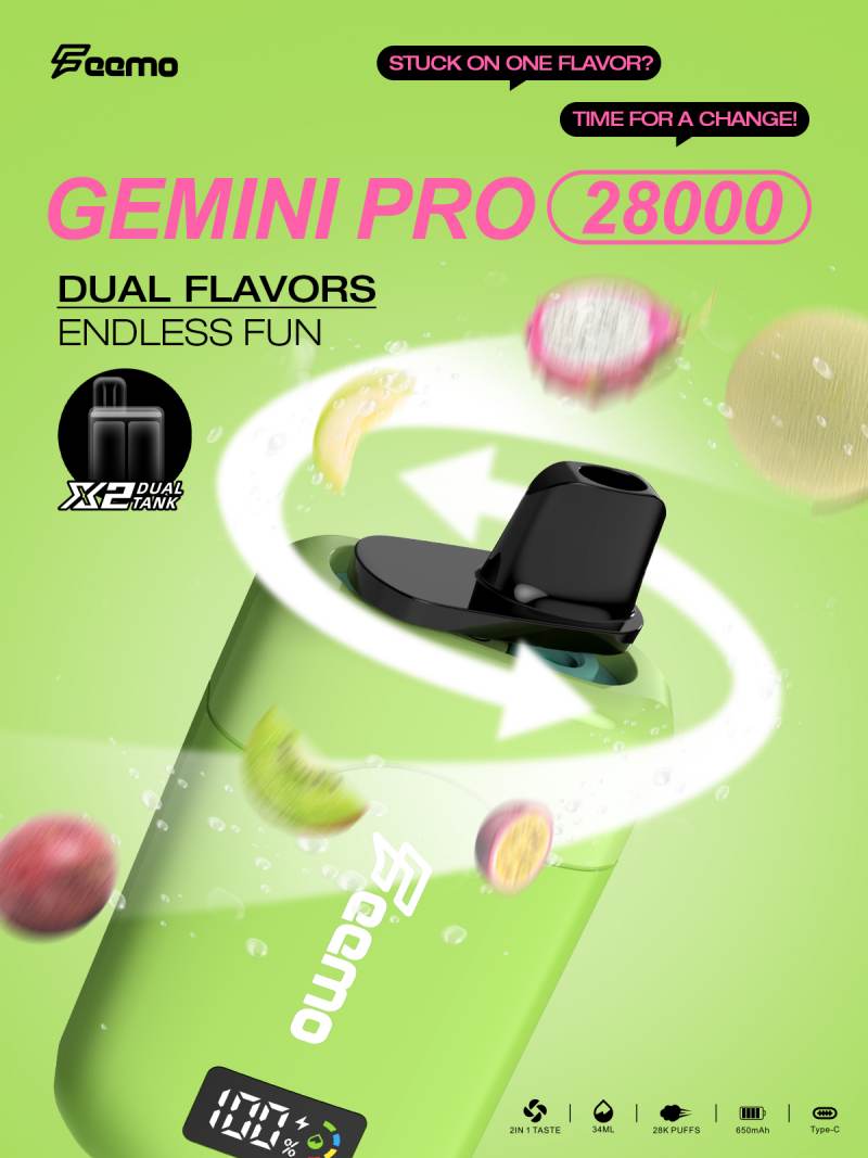 Feemo GEMINI PRO 28000 17 Feemo GEMINI PRO 28000 17