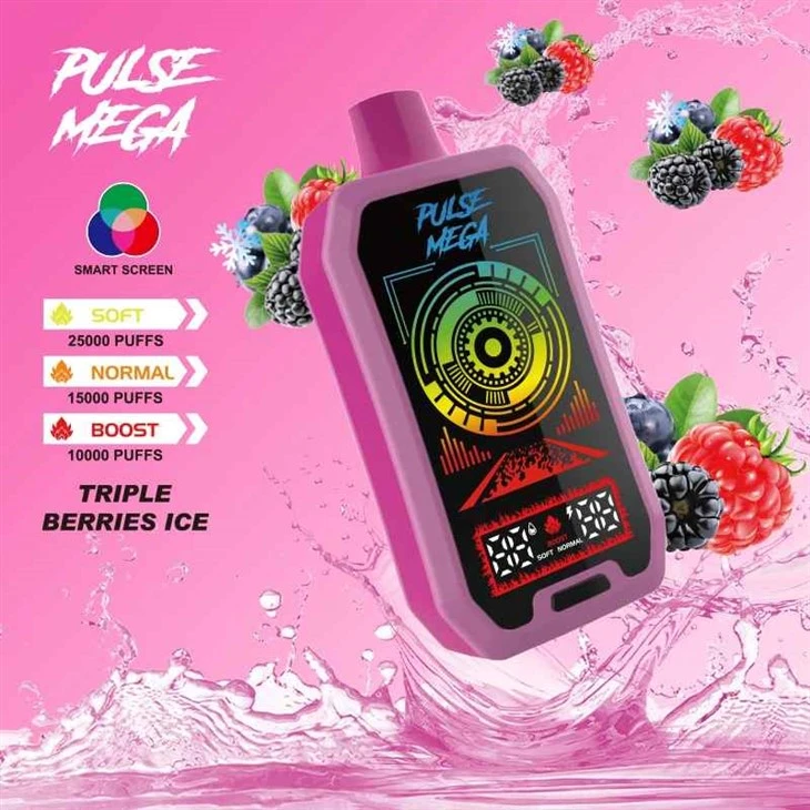 R&M PULSE MEGA 25000 Pwff