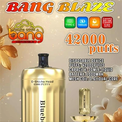 BANG BLAZE E{0}}Pwff 42K Shisha Head