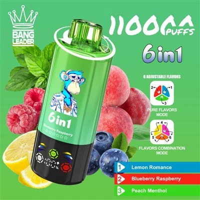 Arweinydd bang 110k