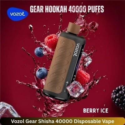 VOZOL Gear Hookah 40000 Pwff