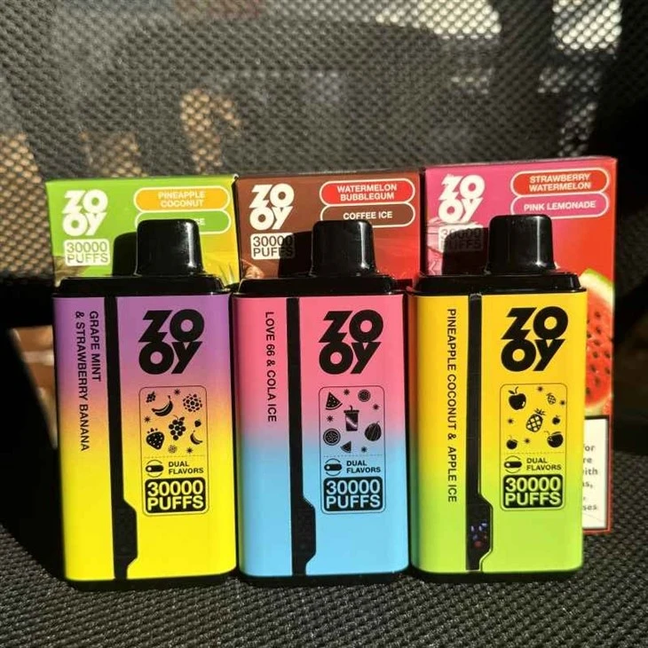 ZOOY Twins 30000 2